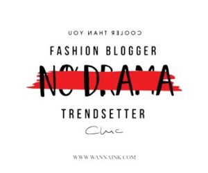 T-shirt design studio - fashion blogger