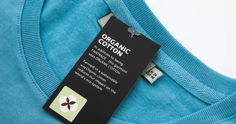 Organic Cotton Vs. Regular Cotton Clothing